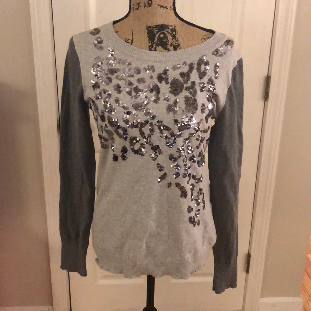Express sweater